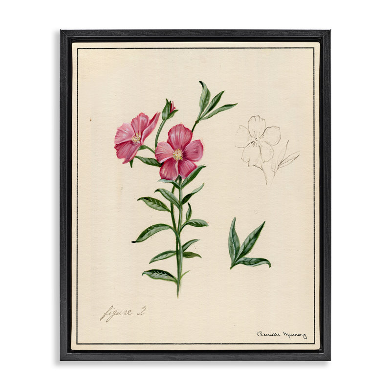 «Science Study», art mural sur toile flottante à fleurs roses, design par Danielle Murray, Cadre flottant noir de jais