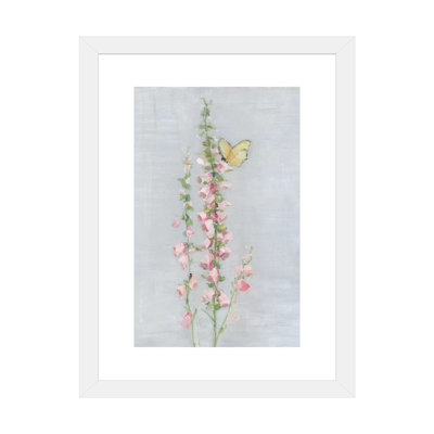 Foxglove Garden II par Sally Swatland - reproduction d'art