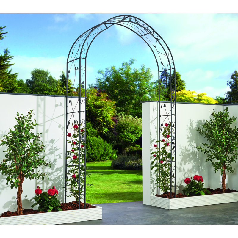 Rosetta Black Steel Garden Arch with Scrollwork