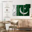 Drapeau pakistanais soyeux-1367264477