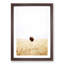 Bison Gaze - Picture Frame Painting Print-55512373-55512372