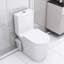 Toilette 600W pour l'amélioration du sous-sol: double chasse, siège confortable de 17,25 po, fermeture en douceur, 3 entrées d'eau, blanc avec entrées