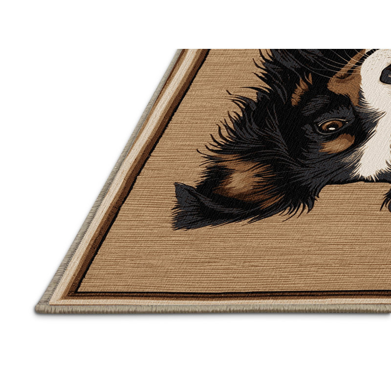  Tapis lavable Border Collie Dogs, Rond 4 pi