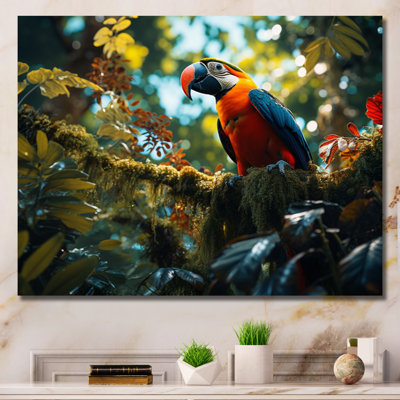 " Macaw South America Jungle Symphony "