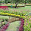 Passerelle de jardin en bois Outsunny