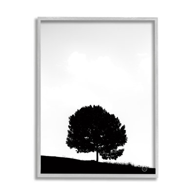 Sycomore minimaliste, silhouette, noir, blanc, photographie sur giclée par Nathan Larson