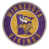 Vikings du Minnesota