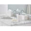 Claudia Soap Dish