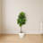 Fiddle Leaf Artificial Tree in White Planter