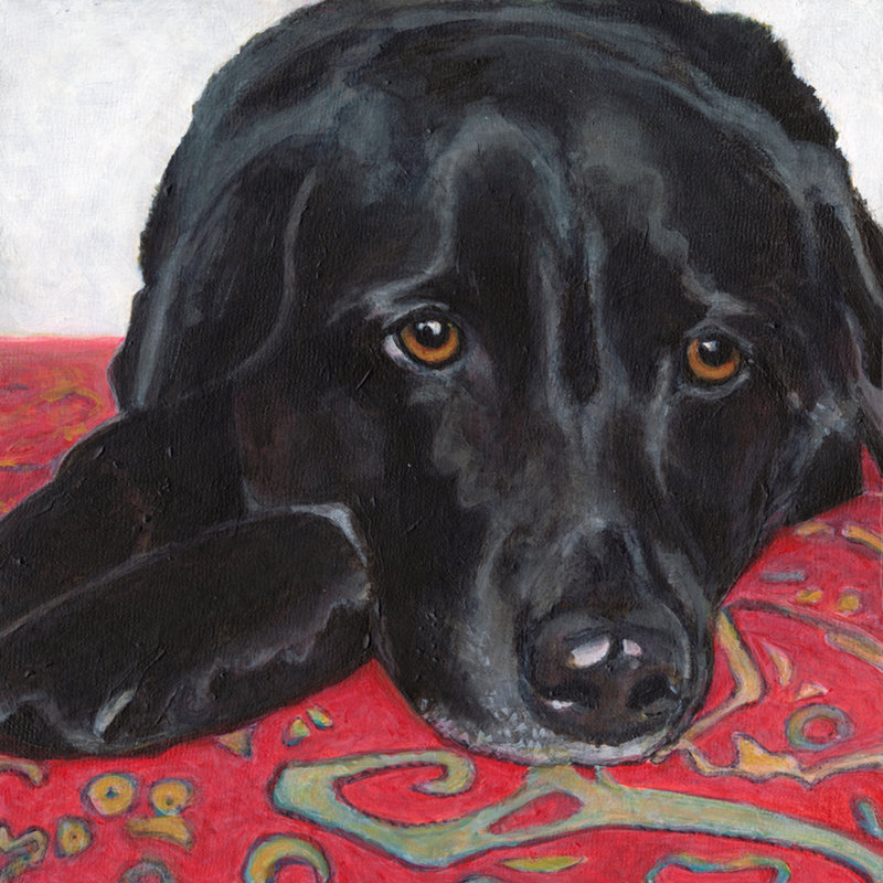 Dlynns Dogs - Tallulah by Dlynn Roll - Wrapped Canvas Painting, 30cm H x 30cm W