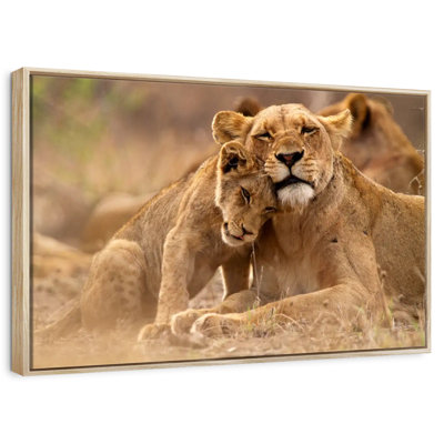 Lionne et louveteau