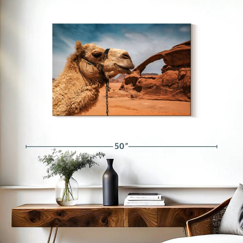 Chameau Brampt dans le désert du Wadi Rum, 24" H x 36" W