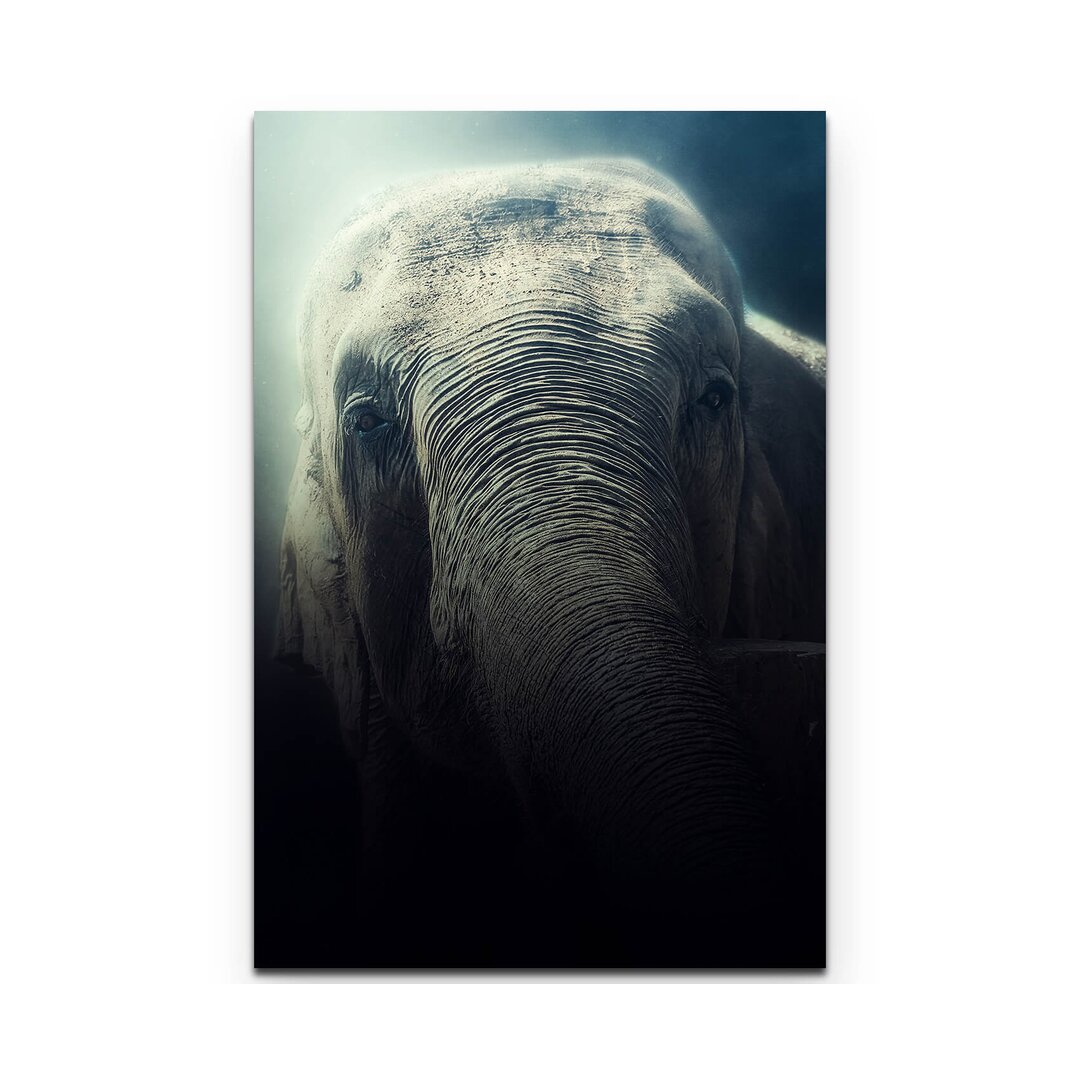 Leinwandbild Portrait Elefant