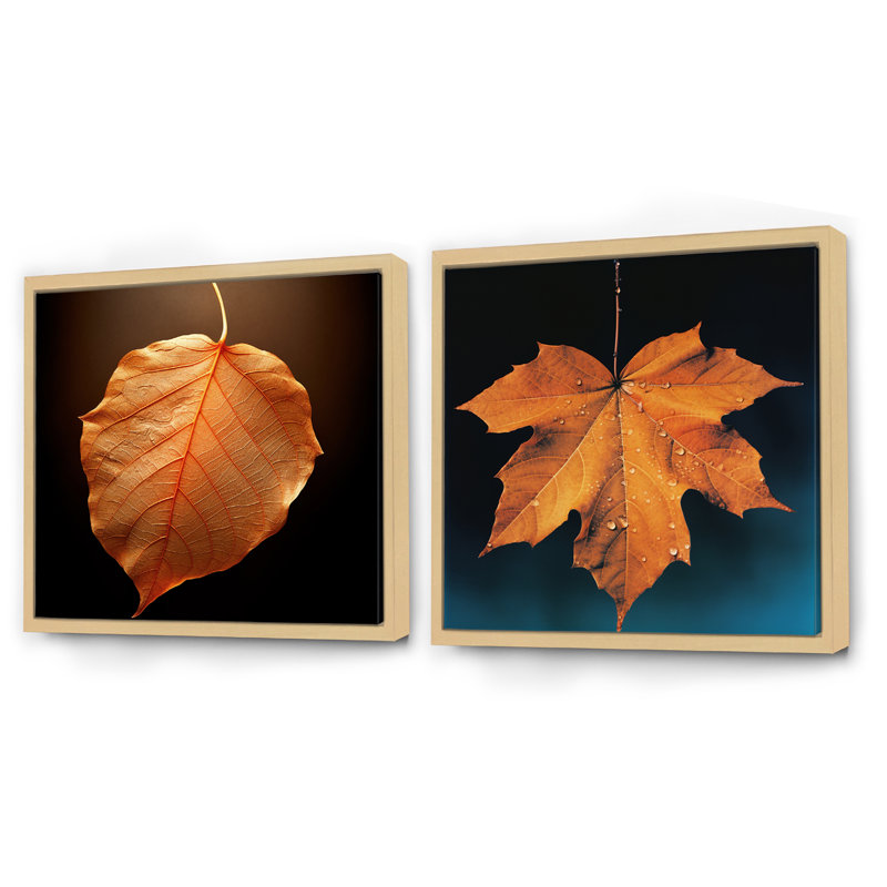 Tangerine orange érable translucide feuillage - ensemble de 2 feuilles de collage carré, Cadre flottant brun