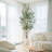Faux Olive Tree With Fruit And Realistic Leaves For Home Decor-1148567850