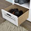 Segars Polyester Upholstered Storage Bench