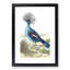 Crowned Pigeon by George Shaw - Framed Print-55621412-55621416