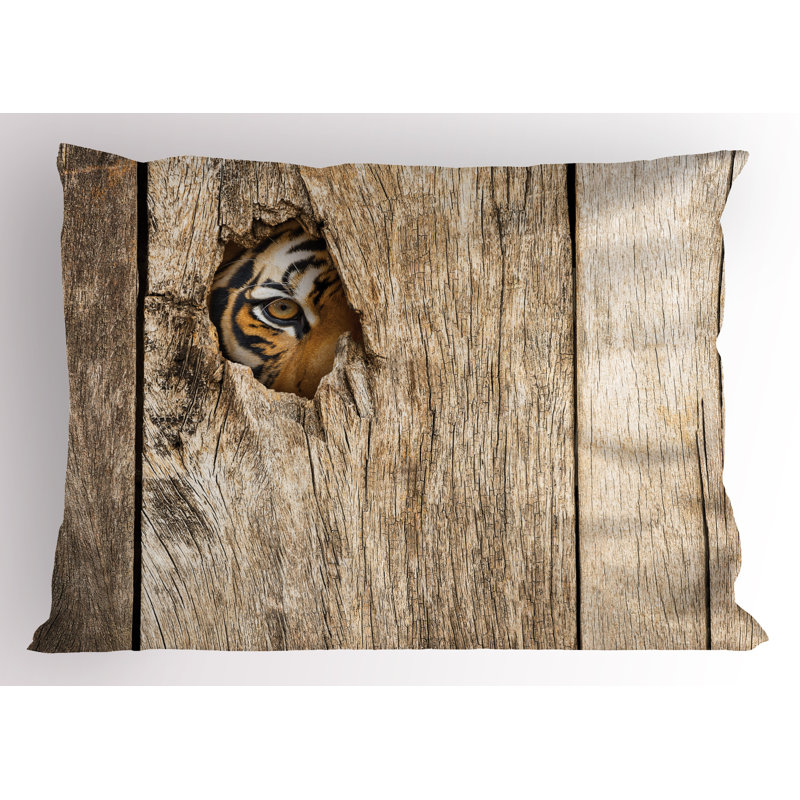 Ensemble de 2 taies décoratives Ambesonne Savannah brun clair, H 20 po x l 26 po