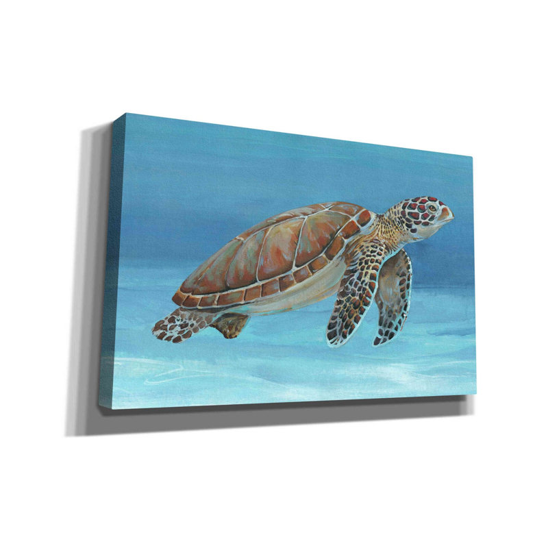 «Ocean Sea Turtle I» par Tim O'toole, art mural sur toile, H 26 po x l 40 po x P 1,5 po