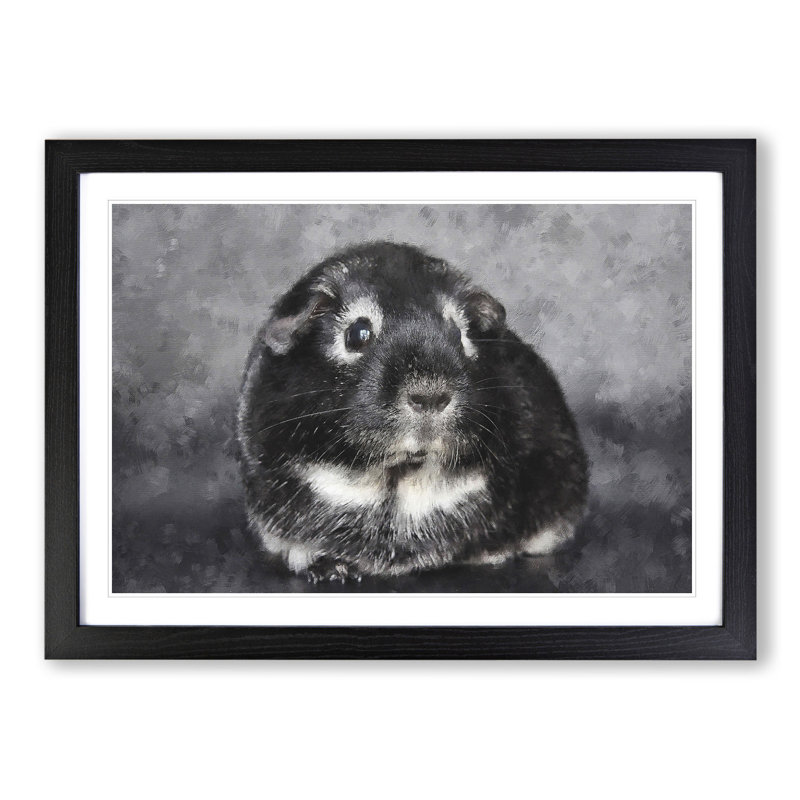Guinea Pig - Framed Print, 48cm H x 65cm W x 2cm D, Black Framed