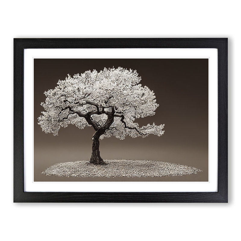 Splendid Tree - Framed Print, Black, 46cm H x 64cm W x 2cm D