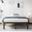 Dmitri 16" Heavy Duty Steel Platform Bed Frame-1693993694