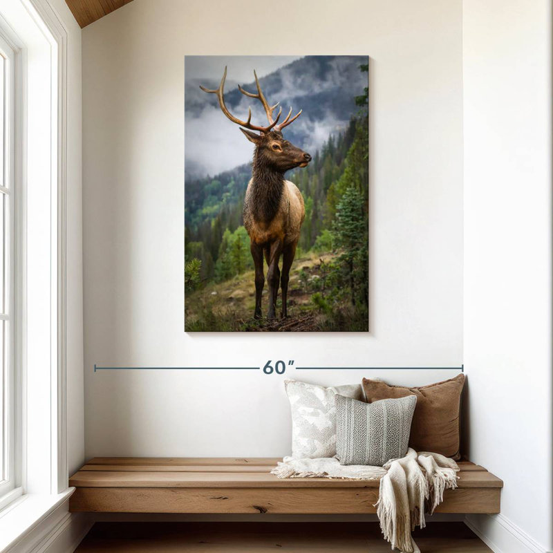 Wapiti dans les Rocheuses, H 45 po x l 30 po