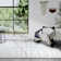, Cream/White Gallery Animal Print Machine Woven Area Rug
