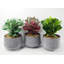 Faux Mosaic Plant in Pot-1220207561