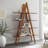 Dera Solid Wood Bookcase