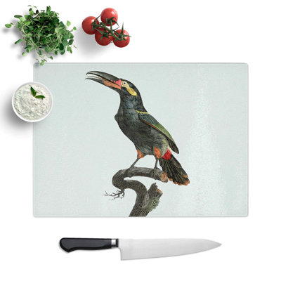 Tempered Glass Necked Aracari Toucan Chopping Board