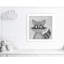 Impression sur papier Cheery Racoon-47841937-47483416
