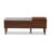 Aydann Shoe Storage Bench