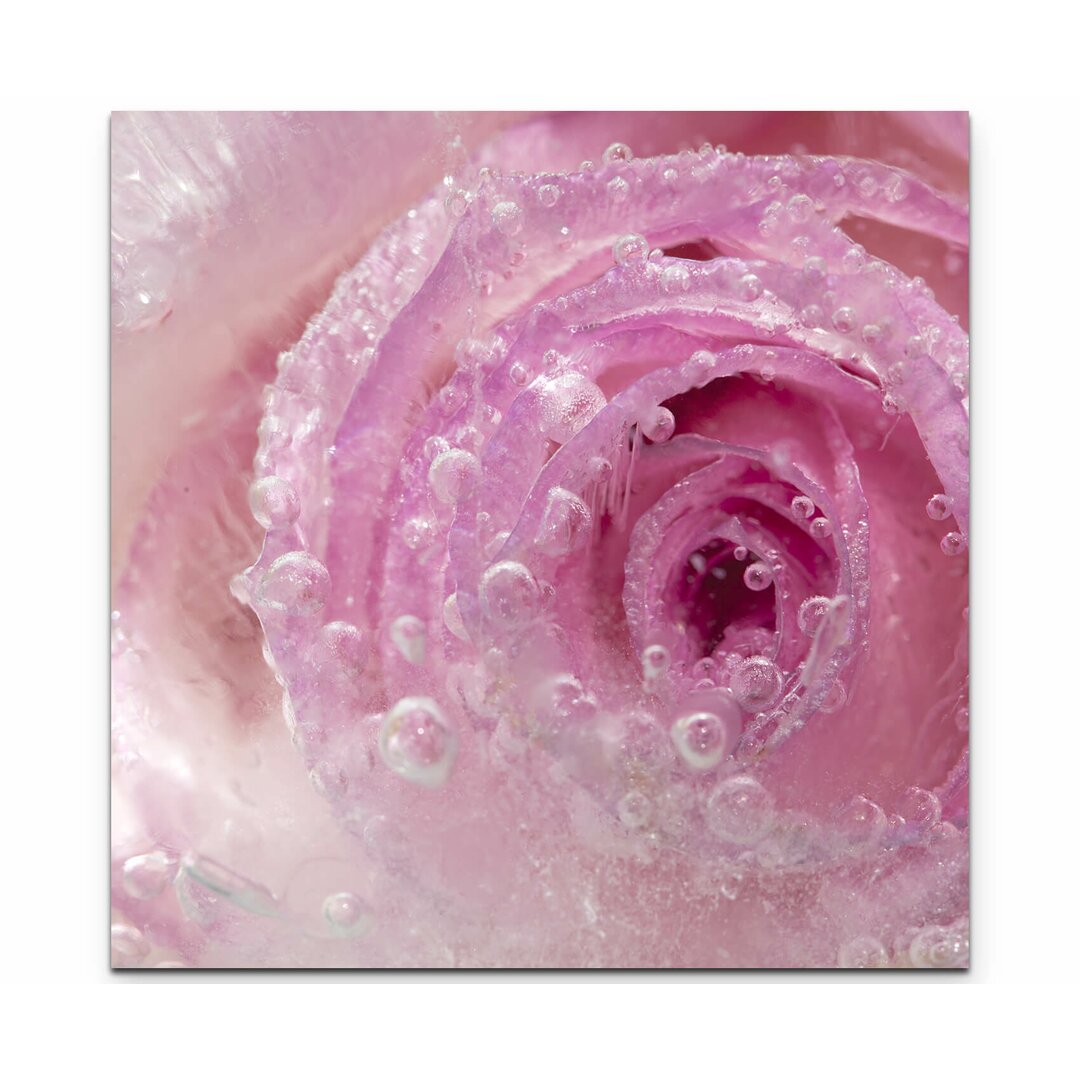 Leinwandbild Gefrorene Rose