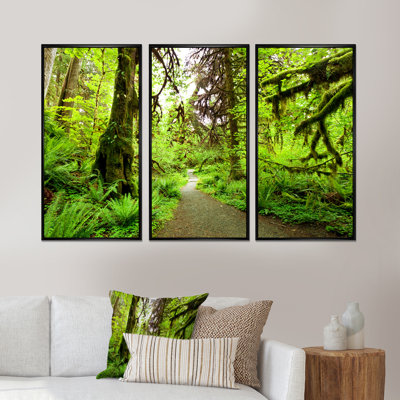«Foot Path In Redwood Rain Forest», ensemble d'art mural sur toile encadré paysage