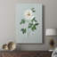 Rose Beauty II - galerie Cavas sur mesure-1423843928