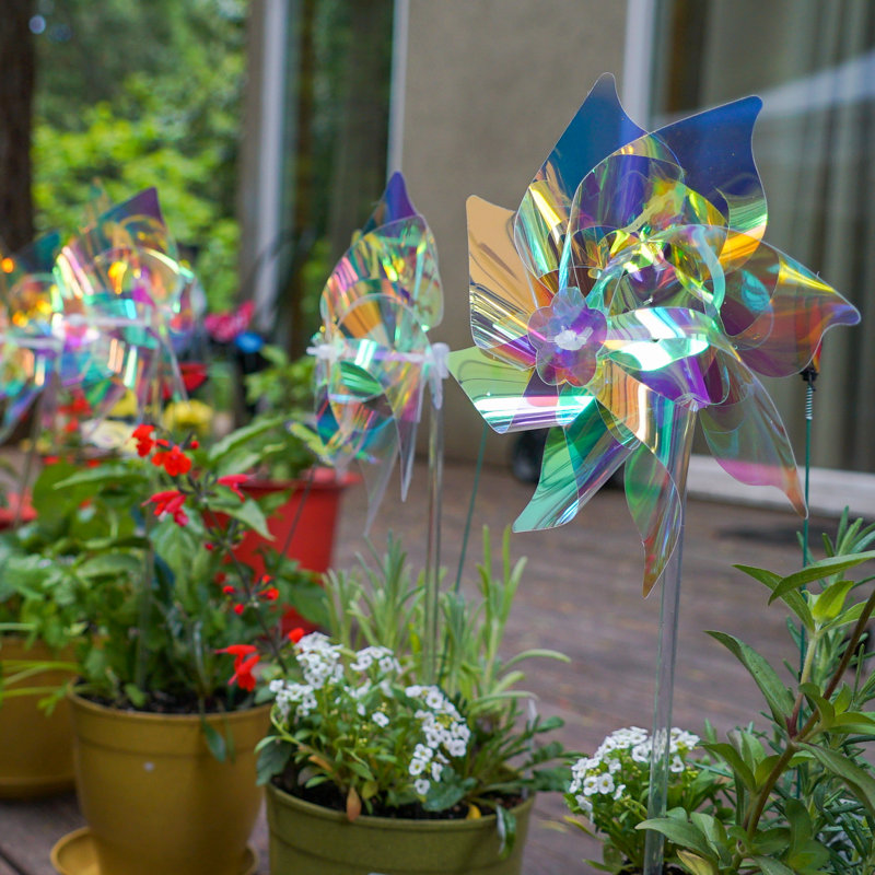 Iridescent 8" Classic Pinwheel - 8 PC