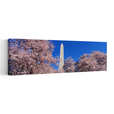 «Cherry Blossoms Washington Monument», art contemporain de l'architecture cerisier printanier