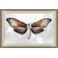 Painted Butterfly Diagram 3 Painting