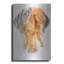 "Vizsla hongroise" par Barbara Keith-594243296