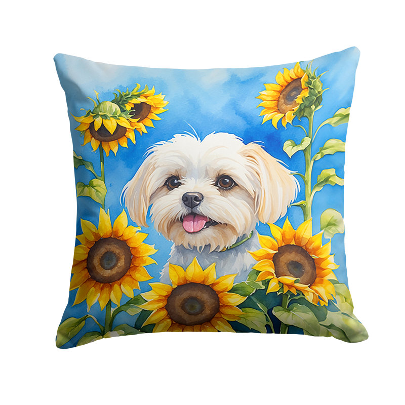 Coussin décoratif intérieur / extérieur Autre / Sans motif, H 14 po x l 14 po