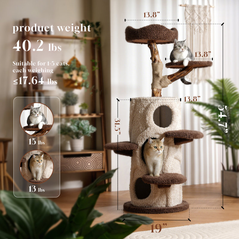 54.7'' H Solid Wood Cat Tree / Multi Cat Condo Warm Cat Climbing Shelf