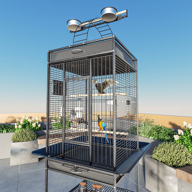Black 61" Wrought Iron Play Top Bird Cage with Stand
