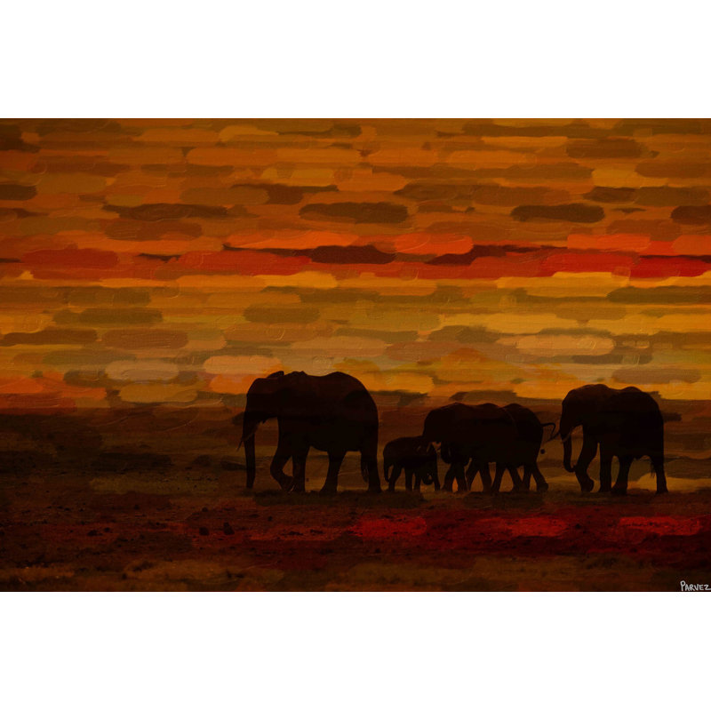 Parvez Taj - Wrapped Canvas Print, 30cm H x 45cm W
