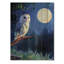 Hibou au clair de lune en dessin animé I-353928290