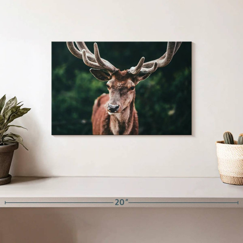 Grand cerf majestueux, H 8 po x l 12 po