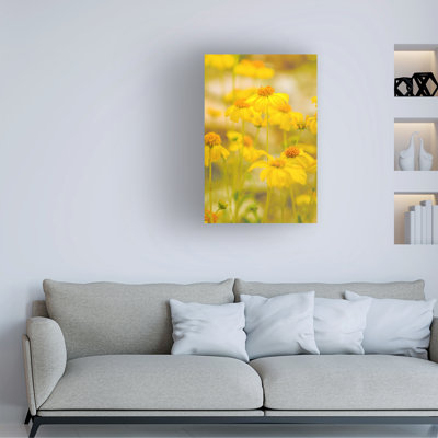 Art sur toile, Janice Sullivan
