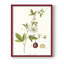 Passion Passion Trio II, reproduction encadrée - bois massif-693837981-693837980
