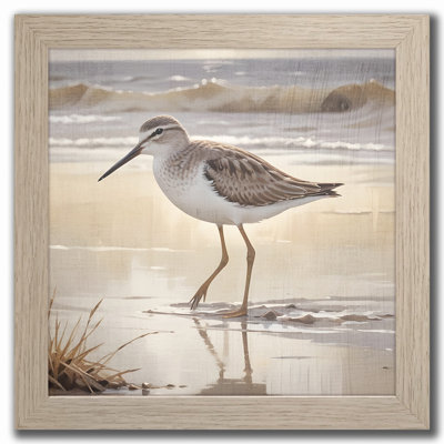 Sandpiper II Framed Wall Art