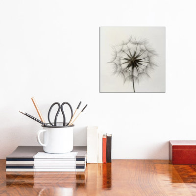Tragopogon by Lotte Grønkjær - Wrapped Canvas Print